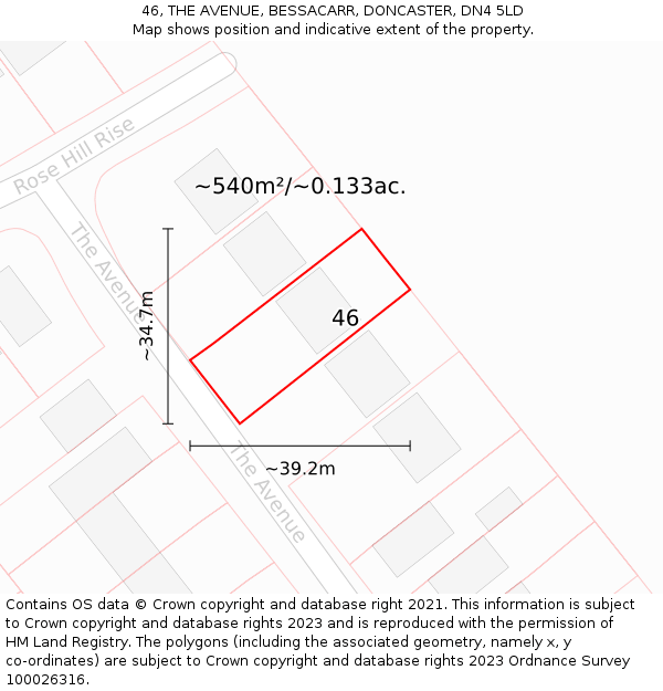 46, THE AVENUE, BESSACARR, DONCASTER, DN4 5LD: Plot and title map