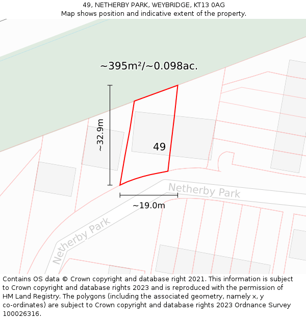 49, NETHERBY PARK, WEYBRIDGE, KT13 0AG: Plot and title map