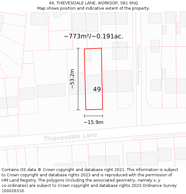 49, THIEVESDALE LANE, WORKSOP, S81 0NQ: Plot and title map