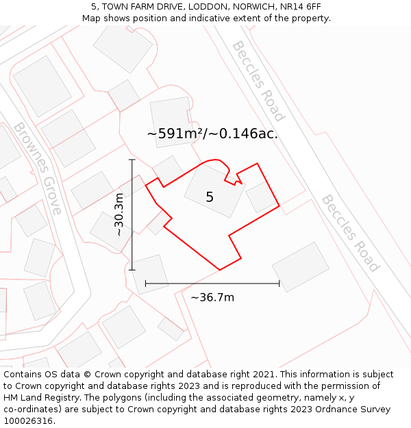 5, TOWN FARM DRIVE, LODDON, NORWICH, NR14 6FF: Plot and title map