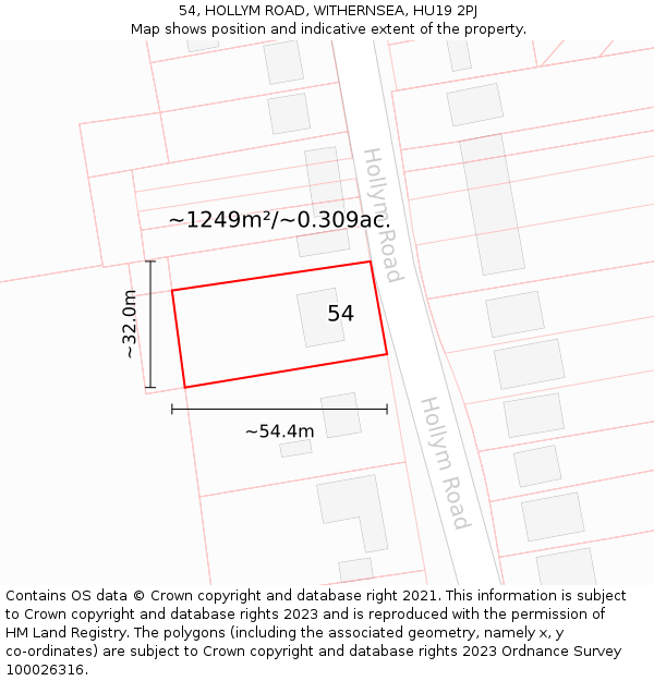 54, HOLLYM ROAD, WITHERNSEA, HU19 2PJ: Plot and title map