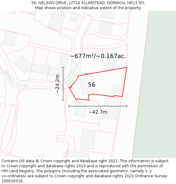 56, NELSON DRIVE, LITTLE PLUMSTEAD, NORWICH, NR13 5FL: Plot and title map