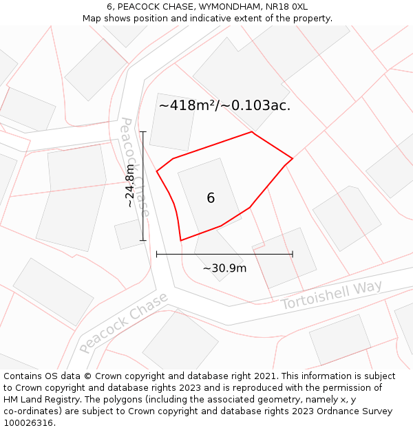 6, PEACOCK CHASE, WYMONDHAM, NR18 0XL: Plot and title map