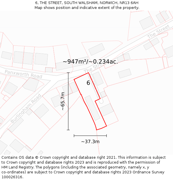 6, THE STREET, SOUTH WALSHAM, NORWICH, NR13 6AH: Plot and title map