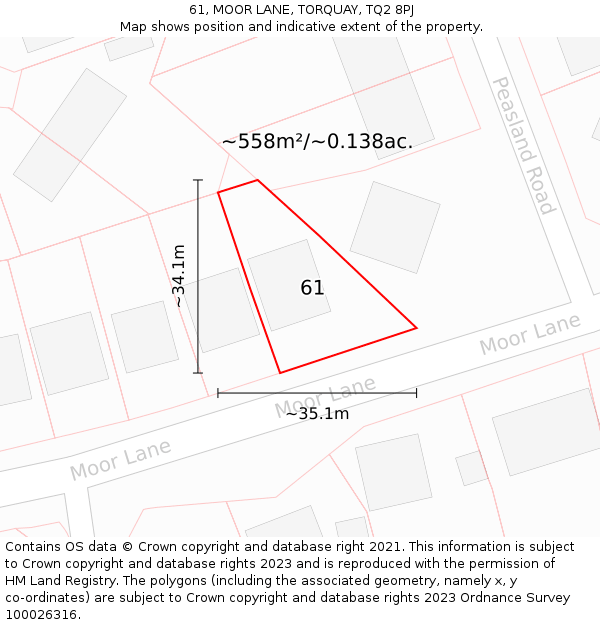 61, MOOR LANE, TORQUAY, TQ2 8PJ: Plot and title map