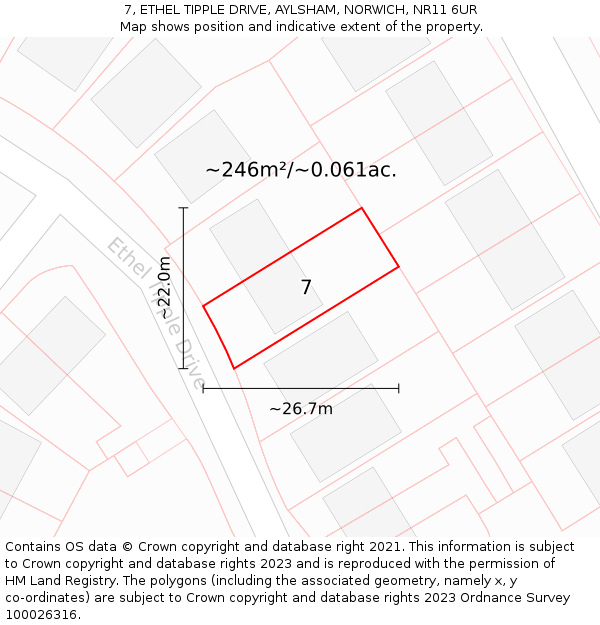 7, ETHEL TIPPLE DRIVE, AYLSHAM, NORWICH, NR11 6UR: Plot and title map