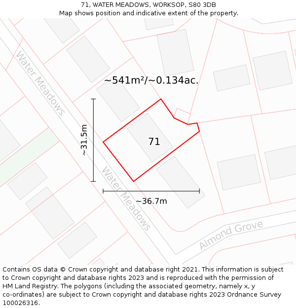 71, WATER MEADOWS, WORKSOP, S80 3DB: Plot and title map