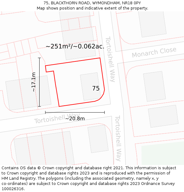 75, BLACKTHORN ROAD, WYMONDHAM, NR18 0PY: Plot and title map