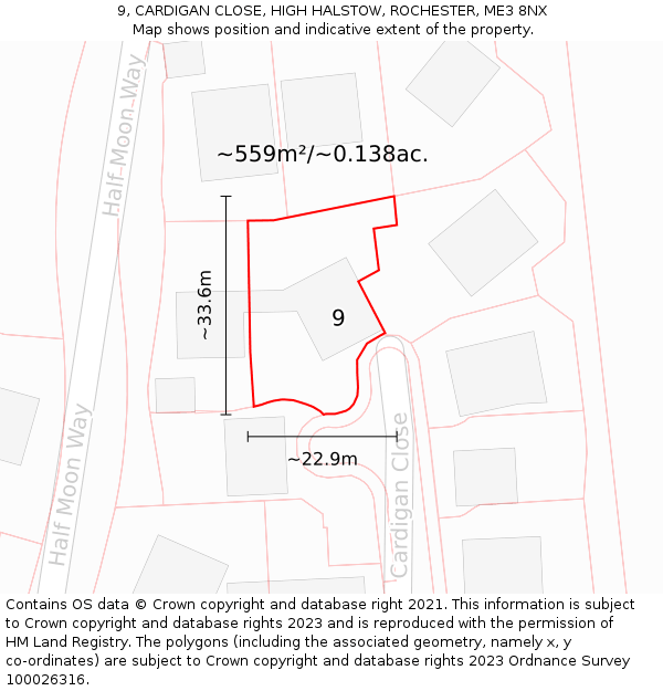 9, CARDIGAN CLOSE, HIGH HALSTOW, ROCHESTER, ME3 8NX: Plot and title map