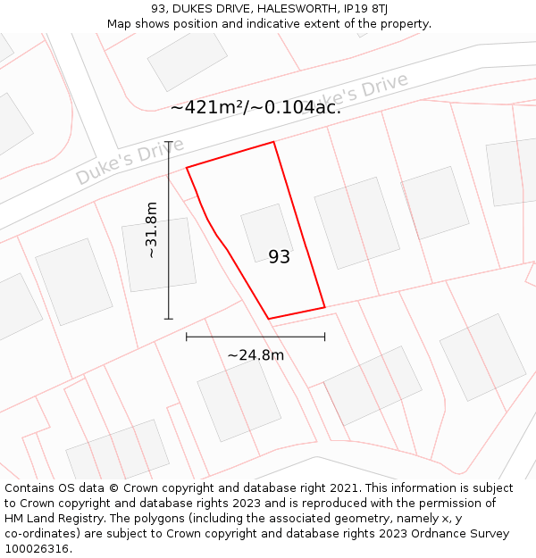 93, DUKES DRIVE, HALESWORTH, IP19 8TJ: Plot and title map