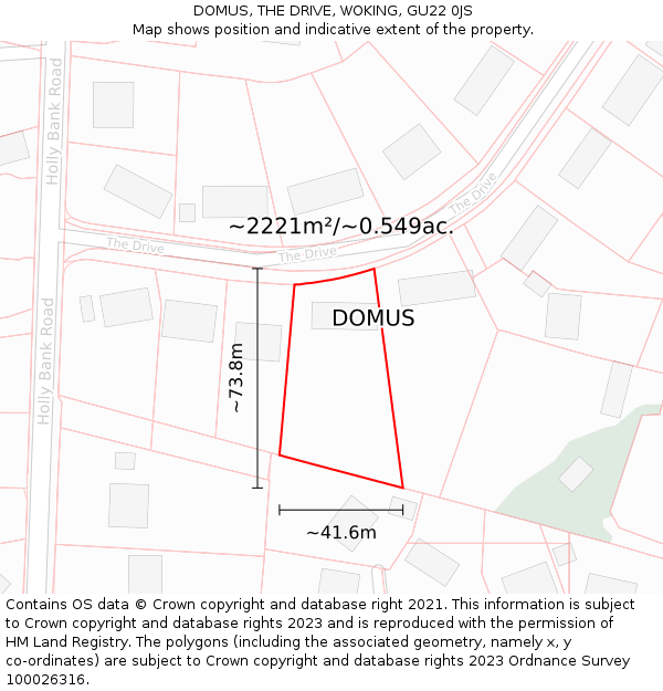 DOMUS, THE DRIVE, WOKING, GU22 0JS: Plot and title map