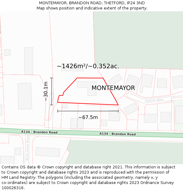 MONTEMAYOR, BRANDON ROAD, THETFORD, IP24 3ND: Plot and title map