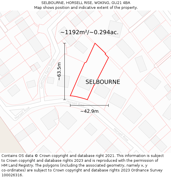 SELBOURNE, HORSELL RISE, WOKING, GU21 4BA: Plot and title map