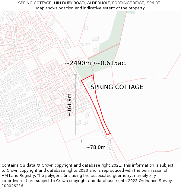 SPRING COTTAGE, HILLBURY ROAD, ALDERHOLT, FORDINGBRIDGE, SP6 3BH: Plot and title map