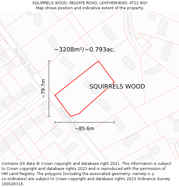 SQUIRRELS WOOD, REIGATE ROAD, LEATHERHEAD, KT22 8QY: Plot and title map