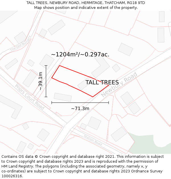 TALL TREES, NEWBURY ROAD, HERMITAGE, THATCHAM, RG18 9TD: Plot and title map