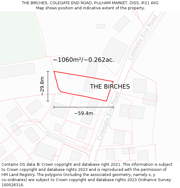 THE BIRCHES, COLEGATE END ROAD, PULHAM MARKET, DISS, IP21 4XG: Plot and title map