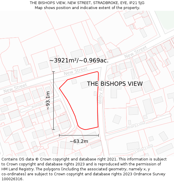 THE BISHOPS VIEW, NEW STREET, STRADBROKE, EYE, IP21 5JG: Plot and title map