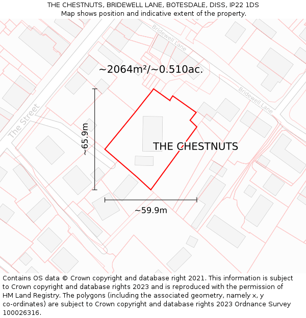 THE CHESTNUTS, BRIDEWELL LANE, BOTESDALE, DISS, IP22 1DS: Plot and title map