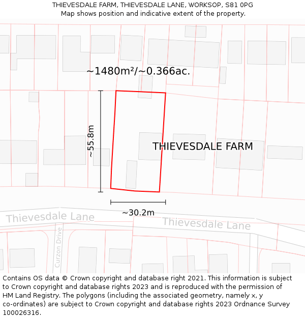 THIEVESDALE FARM, THIEVESDALE LANE, WORKSOP, S81 0PG: Plot and title map