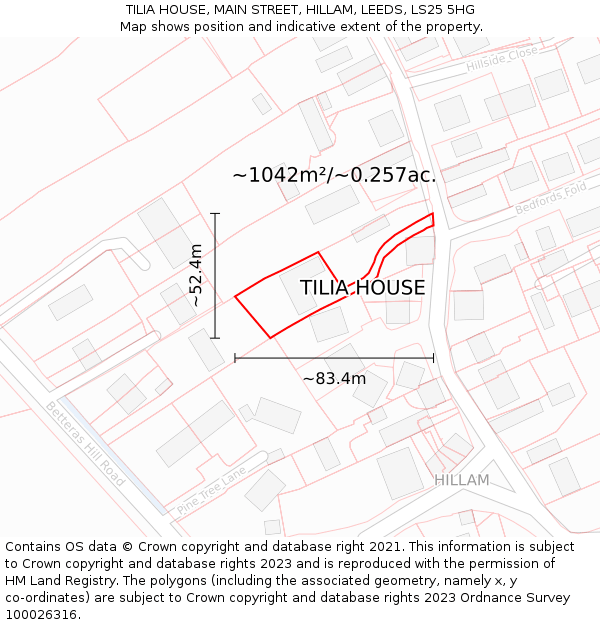 TILIA HOUSE, MAIN STREET, HILLAM, LEEDS, LS25 5HG: Plot and title map