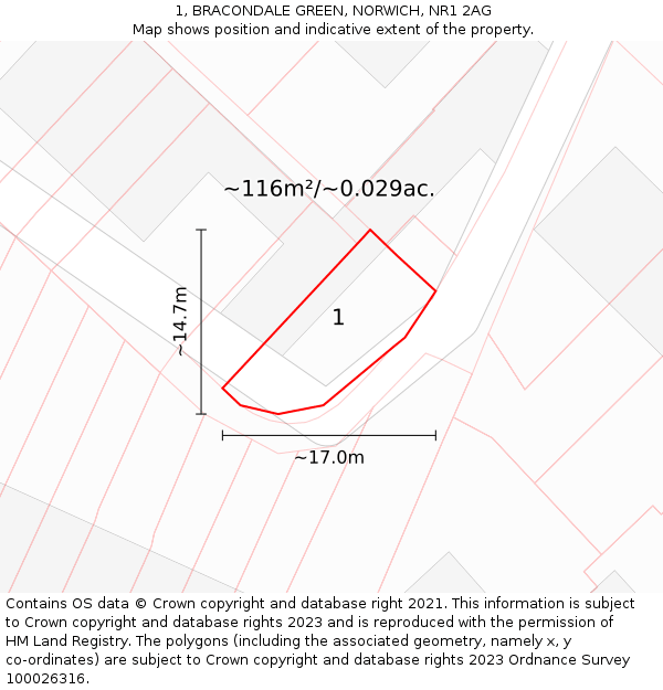 1, BRACONDALE GREEN, NORWICH, NR1 2AG: Plot and title map