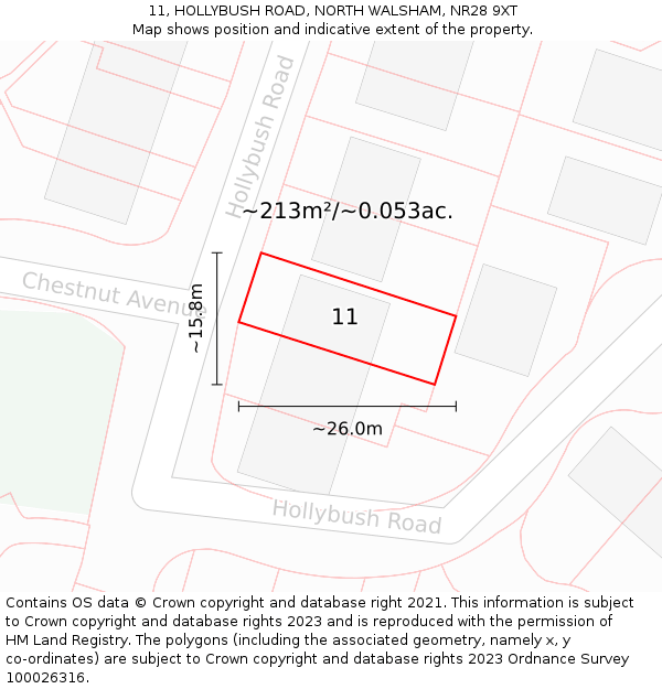 11, HOLLYBUSH ROAD, NORTH WALSHAM, NR28 9XT: Plot and title map