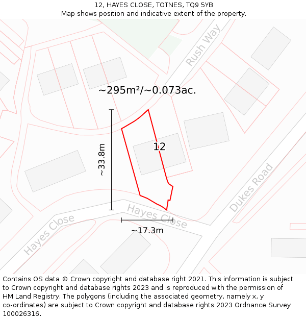 12, HAYES CLOSE, TOTNES, TQ9 5YB: Plot and title map