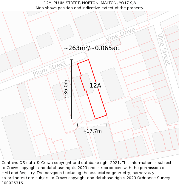 12A, PLUM STREET, NORTON, MALTON, YO17 9JA: Plot and title map