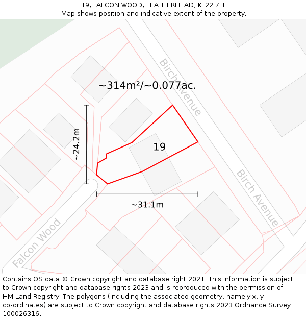 19, FALCON WOOD, LEATHERHEAD, KT22 7TF: Plot and title map