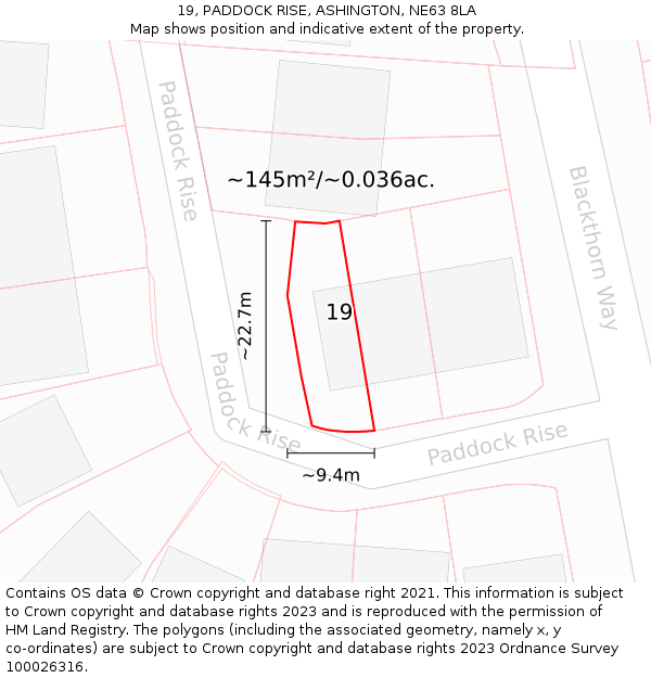 19, PADDOCK RISE, ASHINGTON, NE63 8LA: Plot and title map