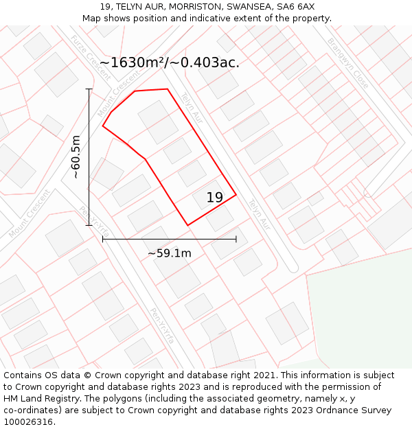 19, TELYN AUR, MORRISTON, SWANSEA, SA6 6AX: Plot and title map