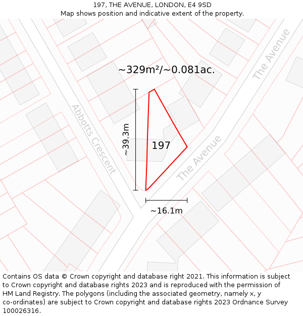 197, THE AVENUE, LONDON, E4 9SD: Plot and title map