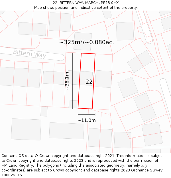 22, BITTERN WAY, MARCH, PE15 9HX: Plot and title map