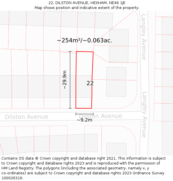 22, DILSTON AVENUE, HEXHAM, NE46 1JE: Plot and title map