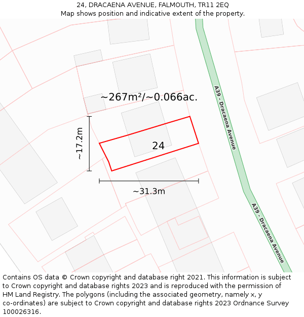 24, DRACAENA AVENUE, FALMOUTH, TR11 2EQ: Plot and title map