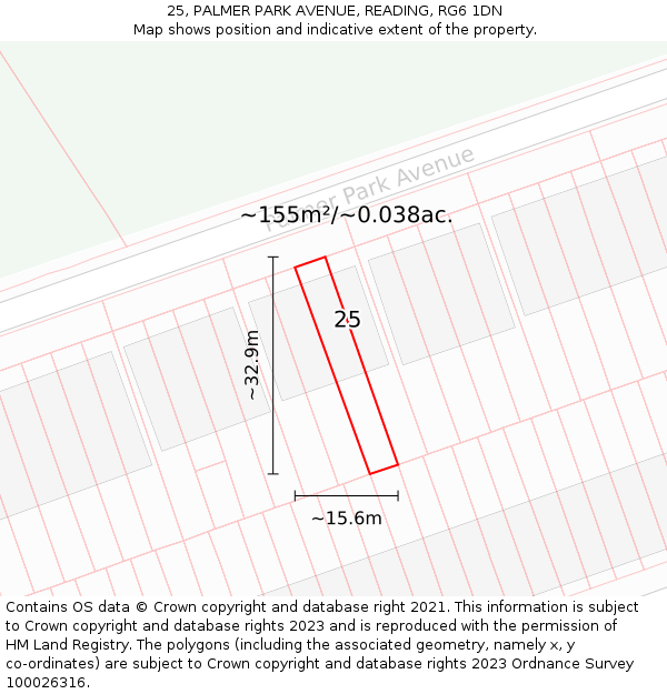 25, PALMER PARK AVENUE, READING, RG6 1DN: Plot and title map