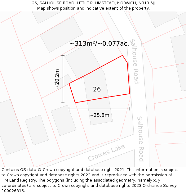 26, SALHOUSE ROAD, LITTLE PLUMSTEAD, NORWICH, NR13 5JJ: Plot and title map