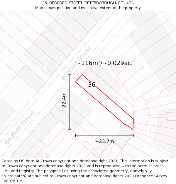 36, BEDFORD STREET, PETERBOROUGH, PE1 4DN: Plot and title map