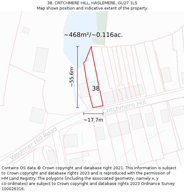 38, CRITCHMERE HILL, HASLEMERE, GU27 1LS: Plot and title map