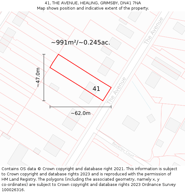 41, THE AVENUE, HEALING, GRIMSBY, DN41 7NA: Plot and title map