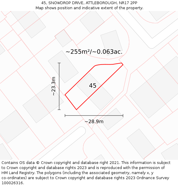 45, SNOWDROP DRIVE, ATTLEBOROUGH, NR17 2PP: Plot and title map