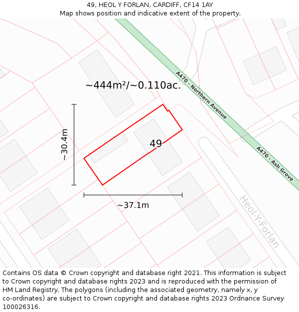 49, HEOL Y FORLAN, CARDIFF, CF14 1AY: Plot and title map