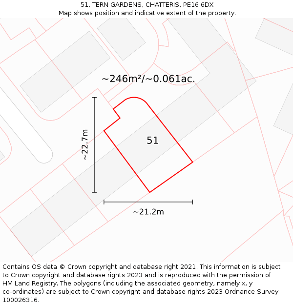 51, TERN GARDENS, CHATTERIS, PE16 6DX: Plot and title map