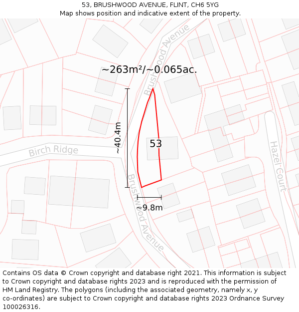 53, BRUSHWOOD AVENUE, FLINT, CH6 5YG: Plot and title map