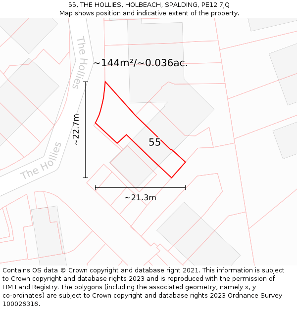 55, THE HOLLIES, HOLBEACH, SPALDING, PE12 7JQ: Plot and title map