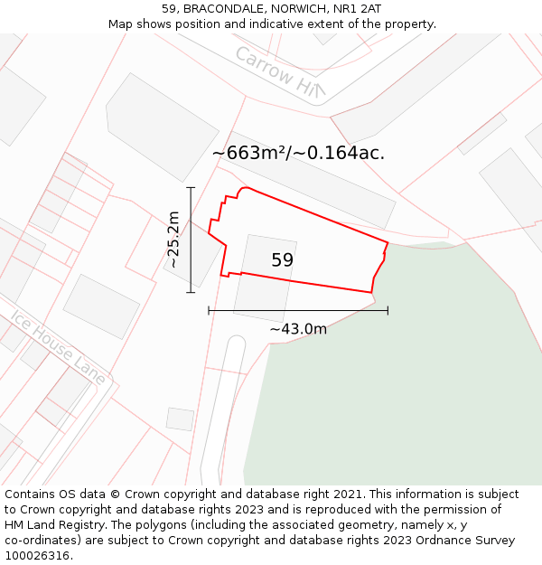 59, BRACONDALE, NORWICH, NR1 2AT: Plot and title map