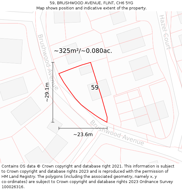 59, BRUSHWOOD AVENUE, FLINT, CH6 5YG: Plot and title map