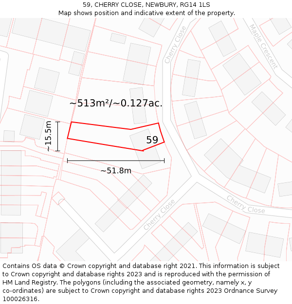 59, CHERRY CLOSE, NEWBURY, RG14 1LS: Plot and title map