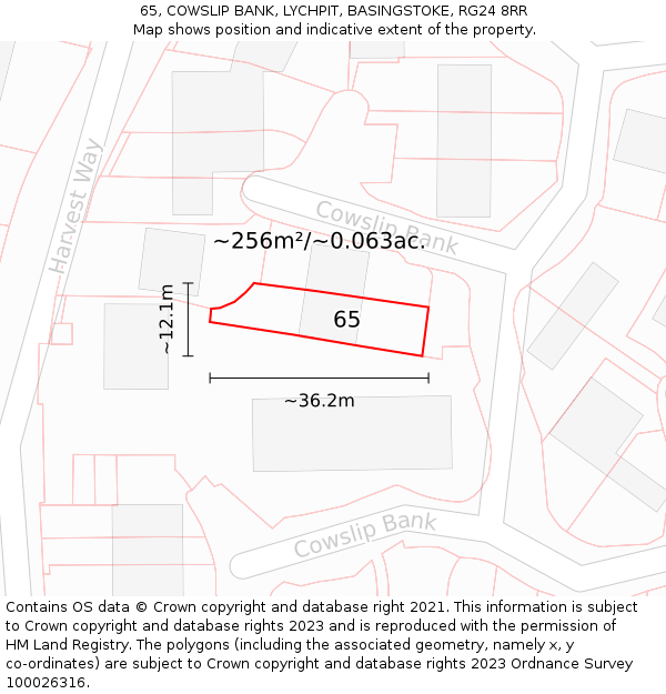 65, COWSLIP BANK, LYCHPIT, BASINGSTOKE, RG24 8RR: Plot and title map